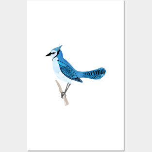 The Blue Jay Posters and Art